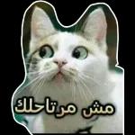 من الذي فاتك؟