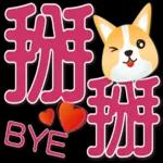 可愛柯基 大字超實用日常生活用語