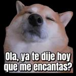 ¿Qué me ves, te gusto?