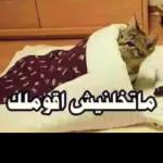 A
أمامك متب
HUMP AHEAD
تیب