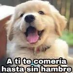 ¿Y QUE HAGO? ¿TE APLAUDO?
