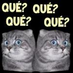 tiene logica!