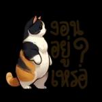 ตุ๋ยเต่า