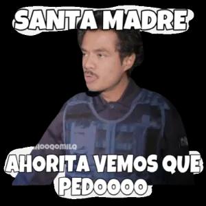 SANTA MADRE HOOQOMILO AHORITA VEMOS QUE PEDOOOO - getsticker.com