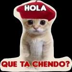 ¿qué estás chendo?