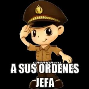 9ojSwx