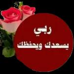 0bee395f331ea9fa16b995da025a82cf