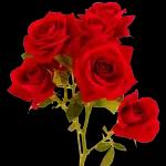 Just for you!