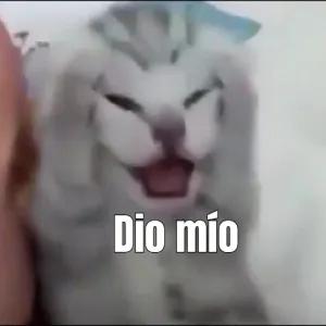 OALMuy