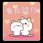 善解人意的小貓貓