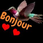 Bonjour