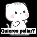 kane_stickers Kiere pelea?
