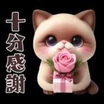 可愛暹羅貓的日常