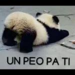 Meme