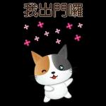 實用大貼圖 職場日常 可愛花貓