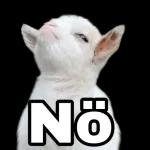 Hallöchen ihr Süßen wünschen euch ein zauberhaften Abend LG