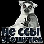 доброе утро 