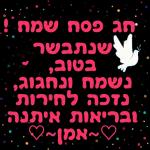 הורדה חינם, עדכונים יומיים, אין צורך בכניסה