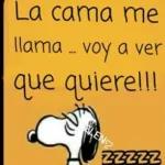 cero ganas...