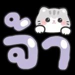 แมวมาร์คัส V.3 : HNY