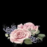 اللهم صل وسلم سيدنا *