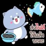 แมวนานาประเภท