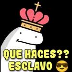 Que haces esclavo