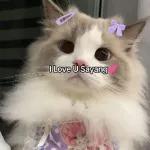 KEMPEN BELI PRODUK ISLAM