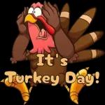 Happy Thanksgiving!