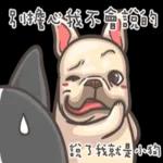 法鬥皮古-豬朋狗友 