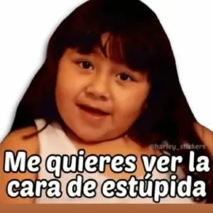 Me quieres ver la cara de estupida - getsticker.com