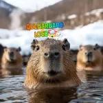 mis capibaras