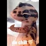 hola