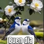 Buen dia