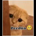 Buen descanso hasta mañana