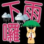 可愛柯基 大字超實用日常生活用語