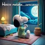 buenas noches 