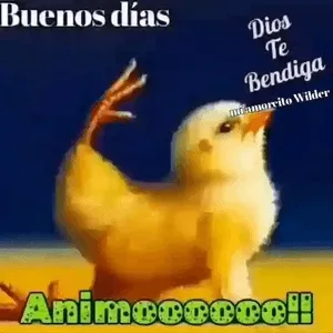 ZOZtcG