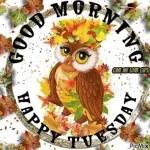 good morning