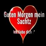Schutzangel