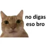 no digas eso bro