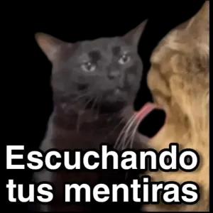 7MVyKc