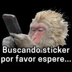 VAMOS cerrando el ortito