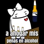 gatitos