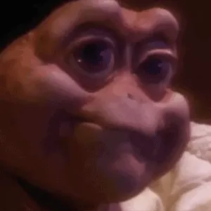 sBlRsO