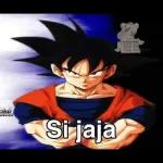 SHA tsss