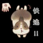 邦妮蓓蓓的日常生活