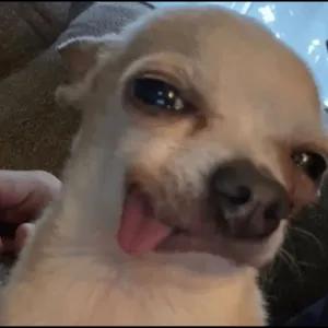 aBvR2z