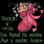 🦌Natal pacote🎄