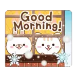 Natural cat, moving winter&Xmas